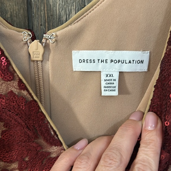 Dress the Population Blair Embellished Fit & Flare Cocktail Dress in Berry/Nude - Picture 10 of 14